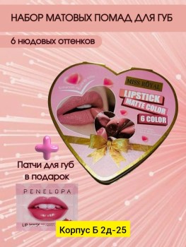 Одежда