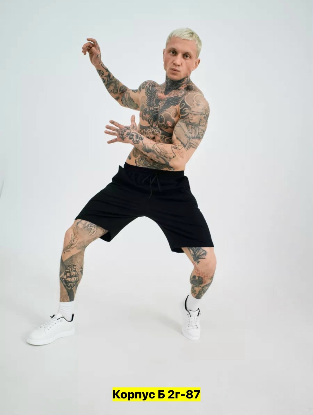 мужской футболка,мужчина,футболки оверсайз мужские,мужские свитшоты,костюм летний с шортами и футболкой al-b 216118706