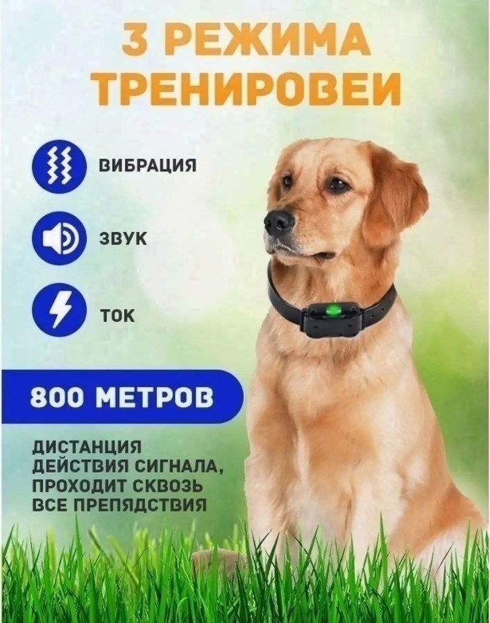 ошейник для собак электронный для дрессировки,электронный ошейник для собак с пультом,дрессировочный электронный ошейник для собак,электронный ошейник petcomer p880,электронный ошейник