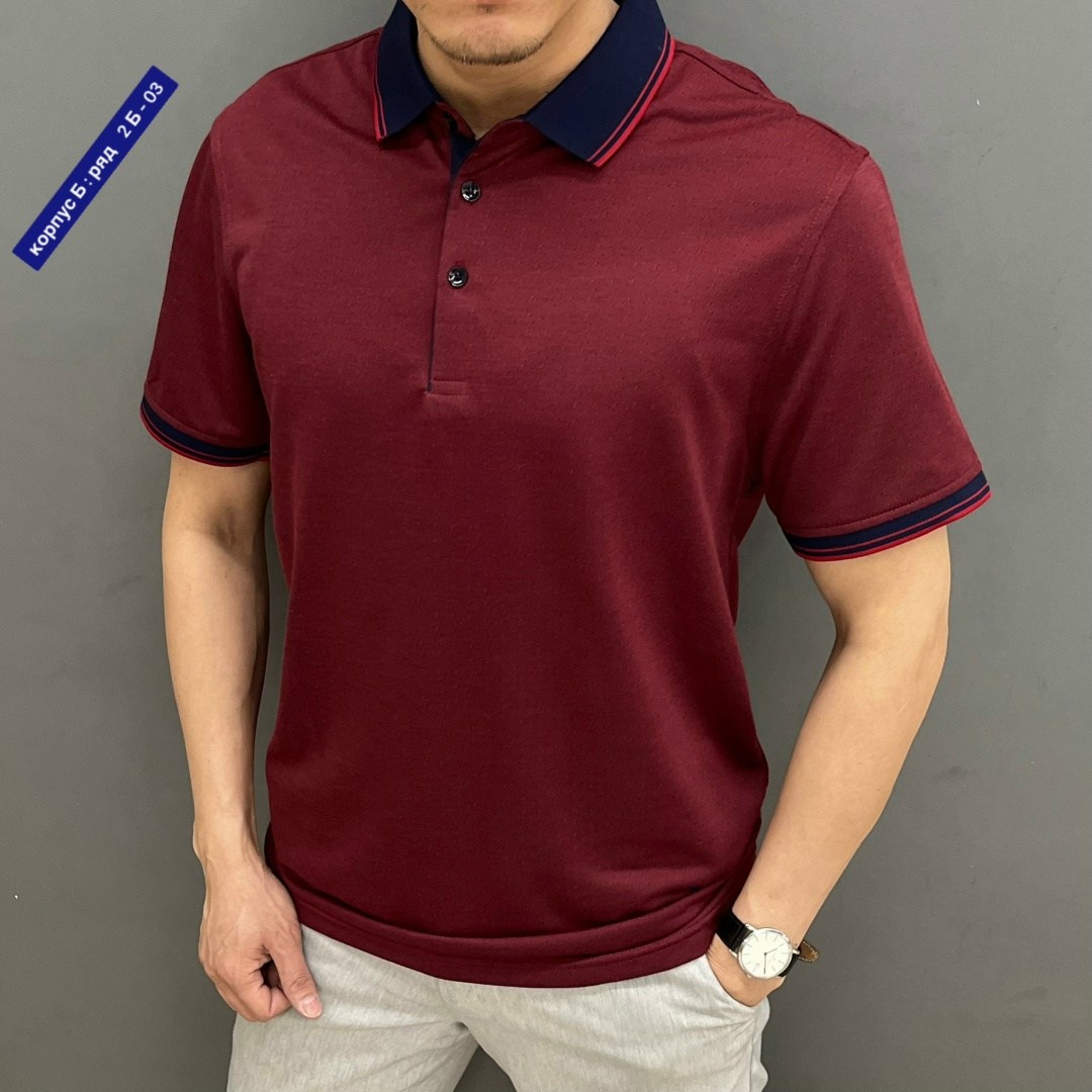 мужская футболка поло,футболки мужские,поло,футболки поло,мужская мода
