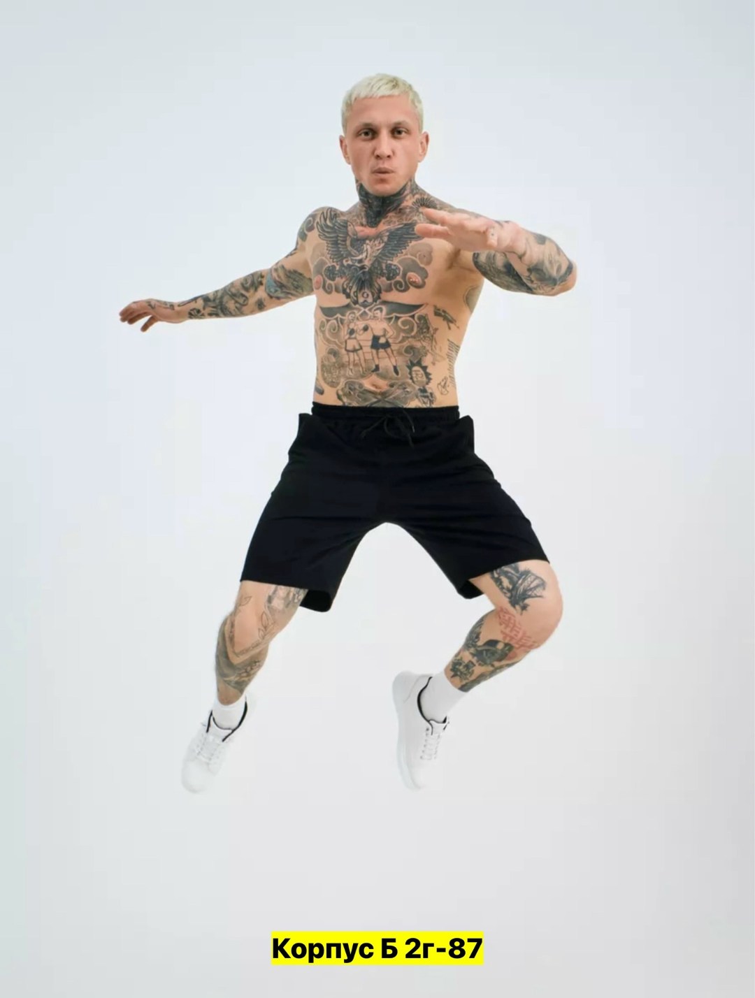 мужской футболка,мужчина,футболки оверсайз мужские,мужские свитшоты,костюм летний с шортами и футболкой al-b 216118706