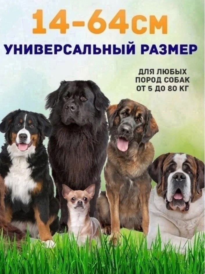 ошейник для собак электронный для дрессировки,электронный ошейник для собак с пультом,дрессировочный электронный ошейник для собак,электронный ошейник petcomer p880,электронный ошейник