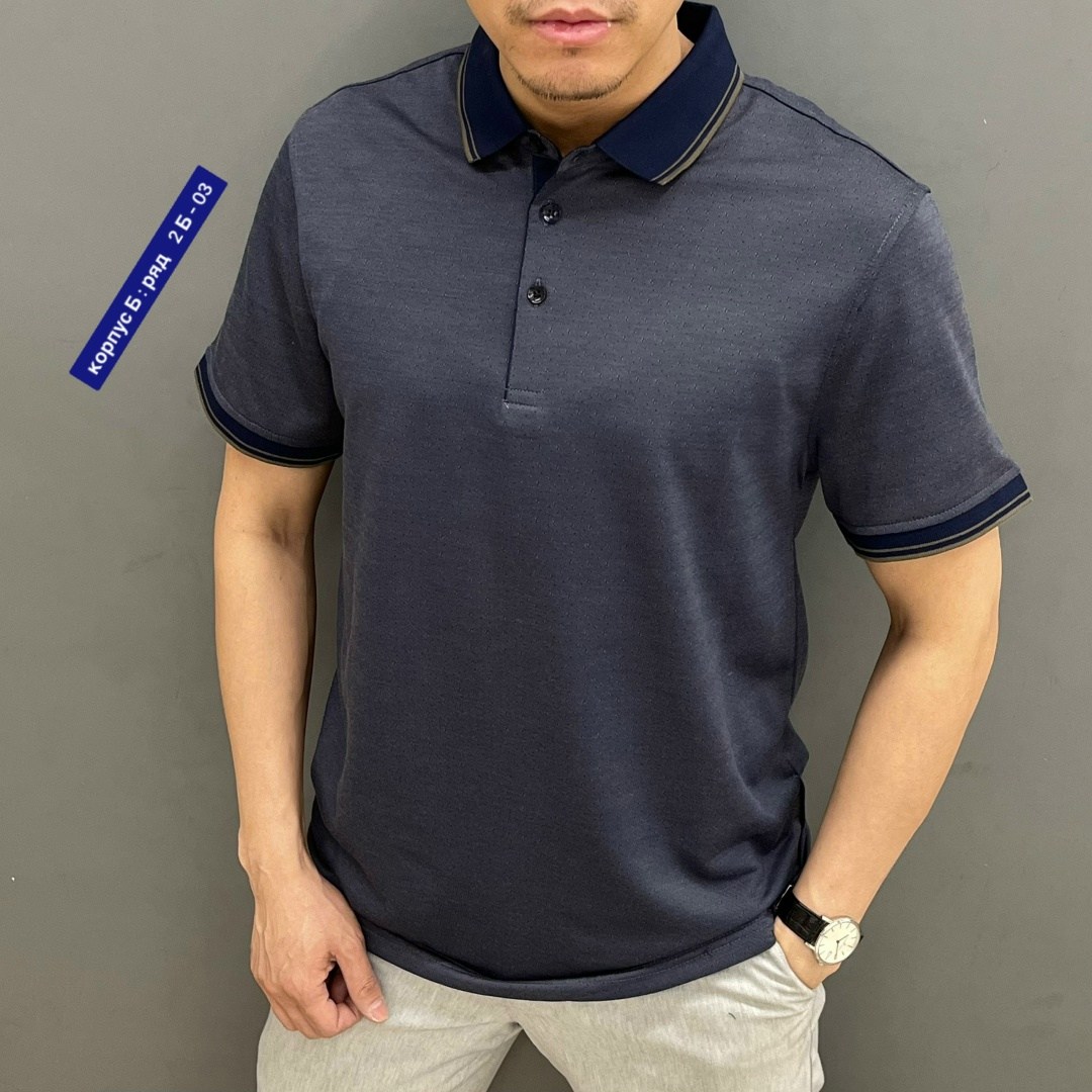мужская футболка поло,футболки мужские,поло,футболки поло,мужская мода