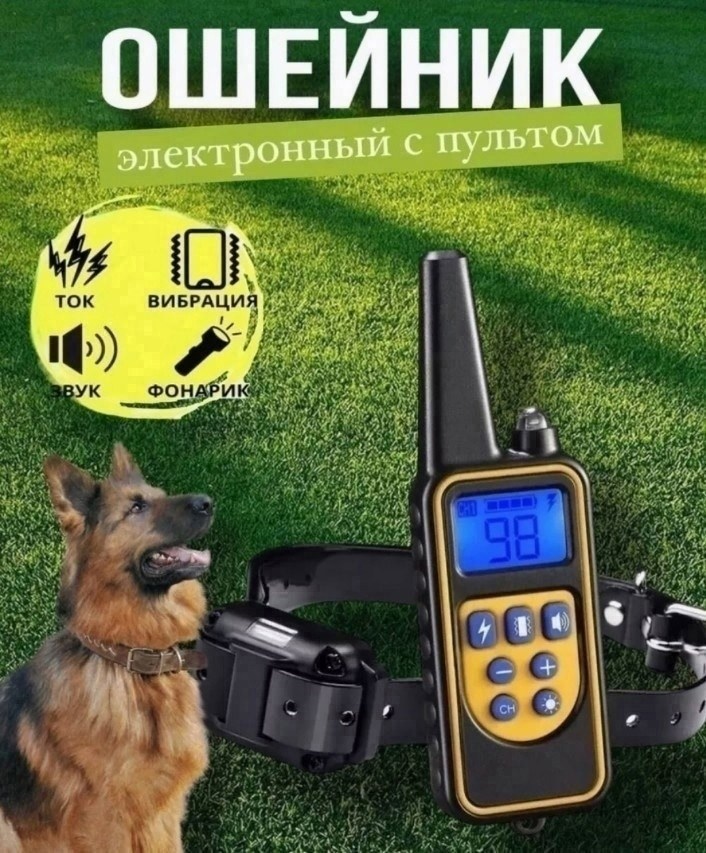 ошейник для собак электронный для дрессировки,электронный ошейник для собак с пультом,дрессировочный электронный ошейник для собак,электронный ошейник petcomer p880,электронный ошейник