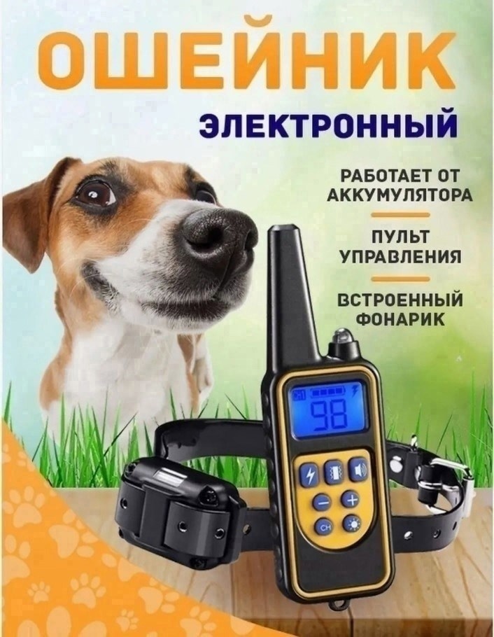 ошейник для собак электронный для дрессировки,электронный ошейник для собак с пультом,дрессировочный электронный ошейник для собак,электронный ошейник petcomer p880,электронный ошейник