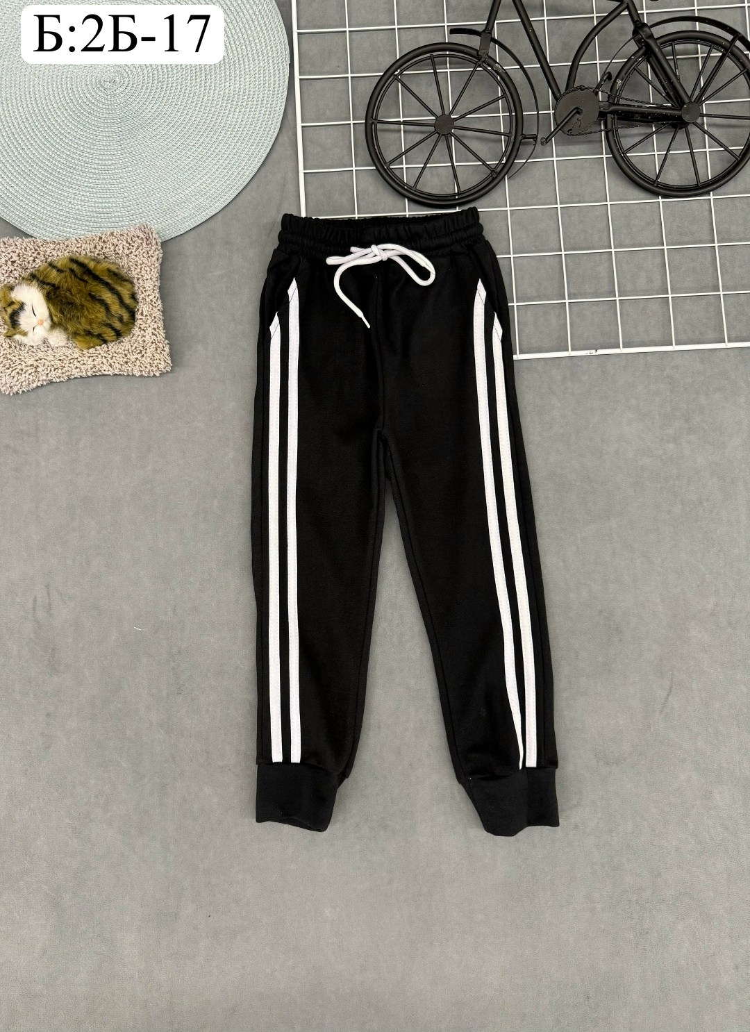 спортивные штаны,спортивные брюки,детские брюки,спортивные брюки для мальчика,брюки для мальчика