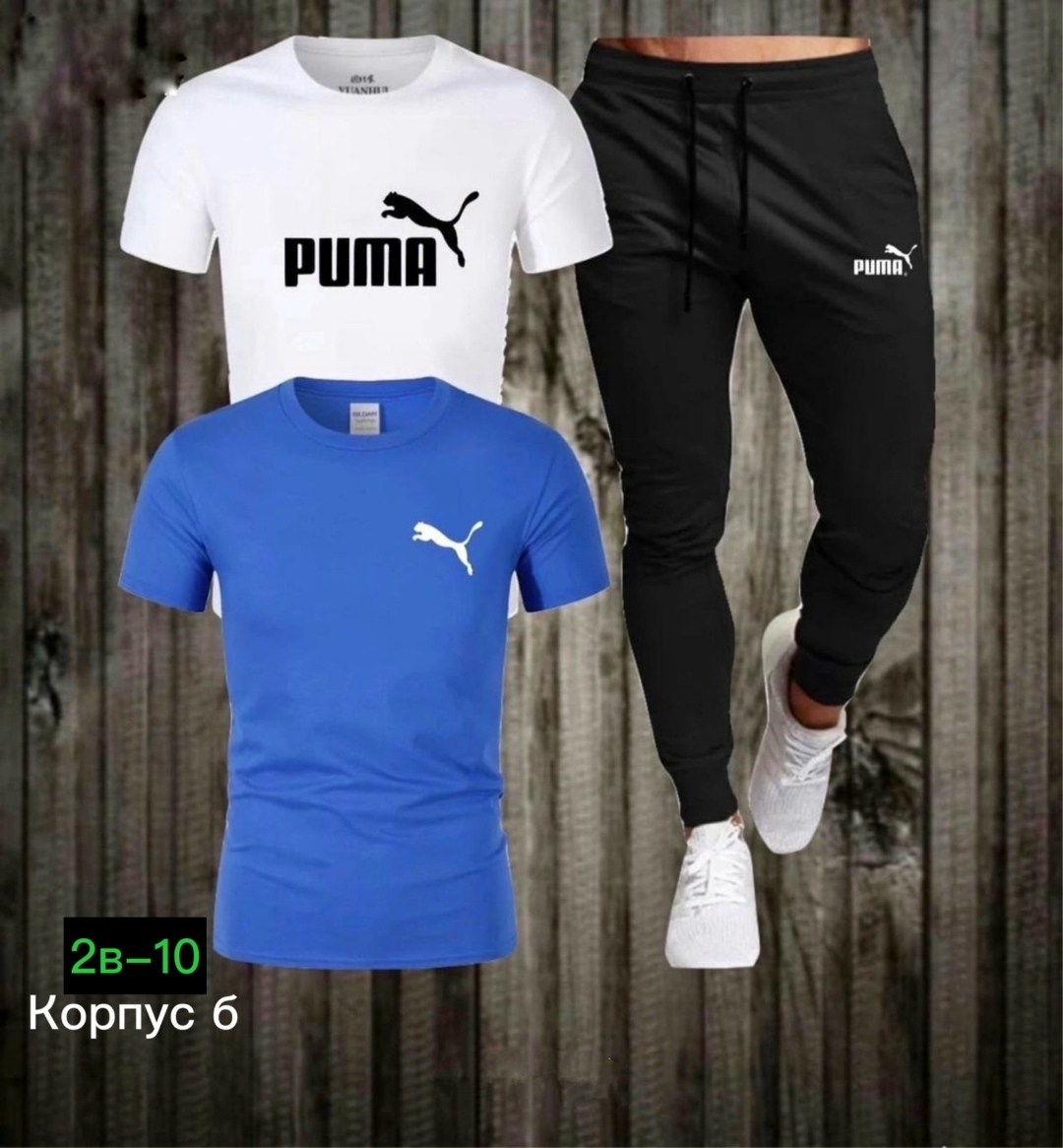 костюм спортивный мужской,спортивный костюм мужской puma,костюм мужской puma,футболка и штаны,костюм спортивный