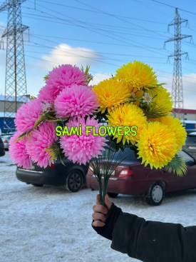 Одежда