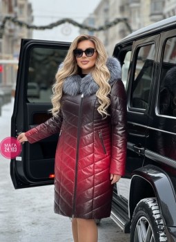 Верхняя одежда