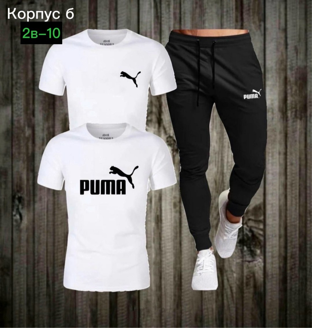 костюм спортивный мужской,спортивный костюм мужской puma,костюм мужской puma,футболка и штаны,костюм спортивный