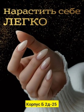 Одежда