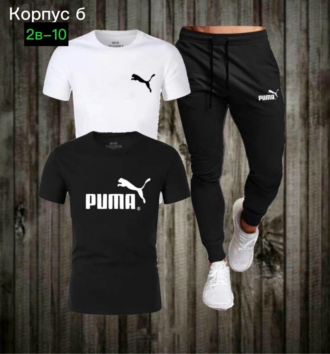 костюм спортивный мужской,спортивный костюм мужской puma,костюм мужской puma,футболка и штаны,костюм спортивный