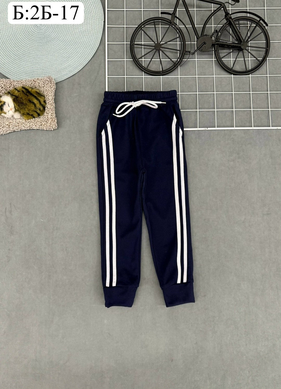 спортивные штаны,спортивные брюки,детские брюки,спортивные брюки для мальчика,брюки для мальчика