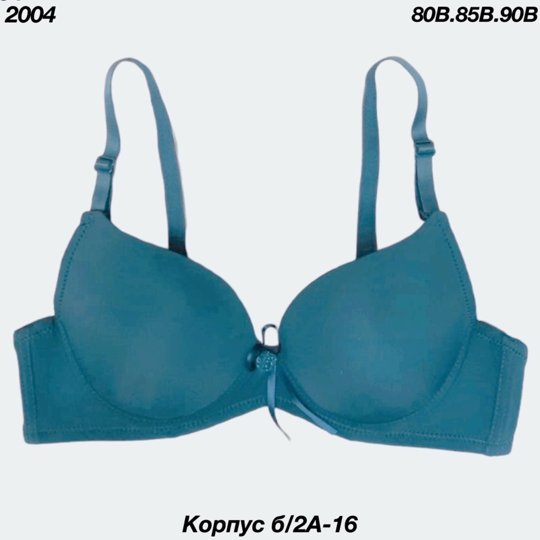 пуш ап бюстгальтер,нижнее белье бюстгальтер,бюстгальтер,бюстгальтер для женщин,бюстгальтер фирмы