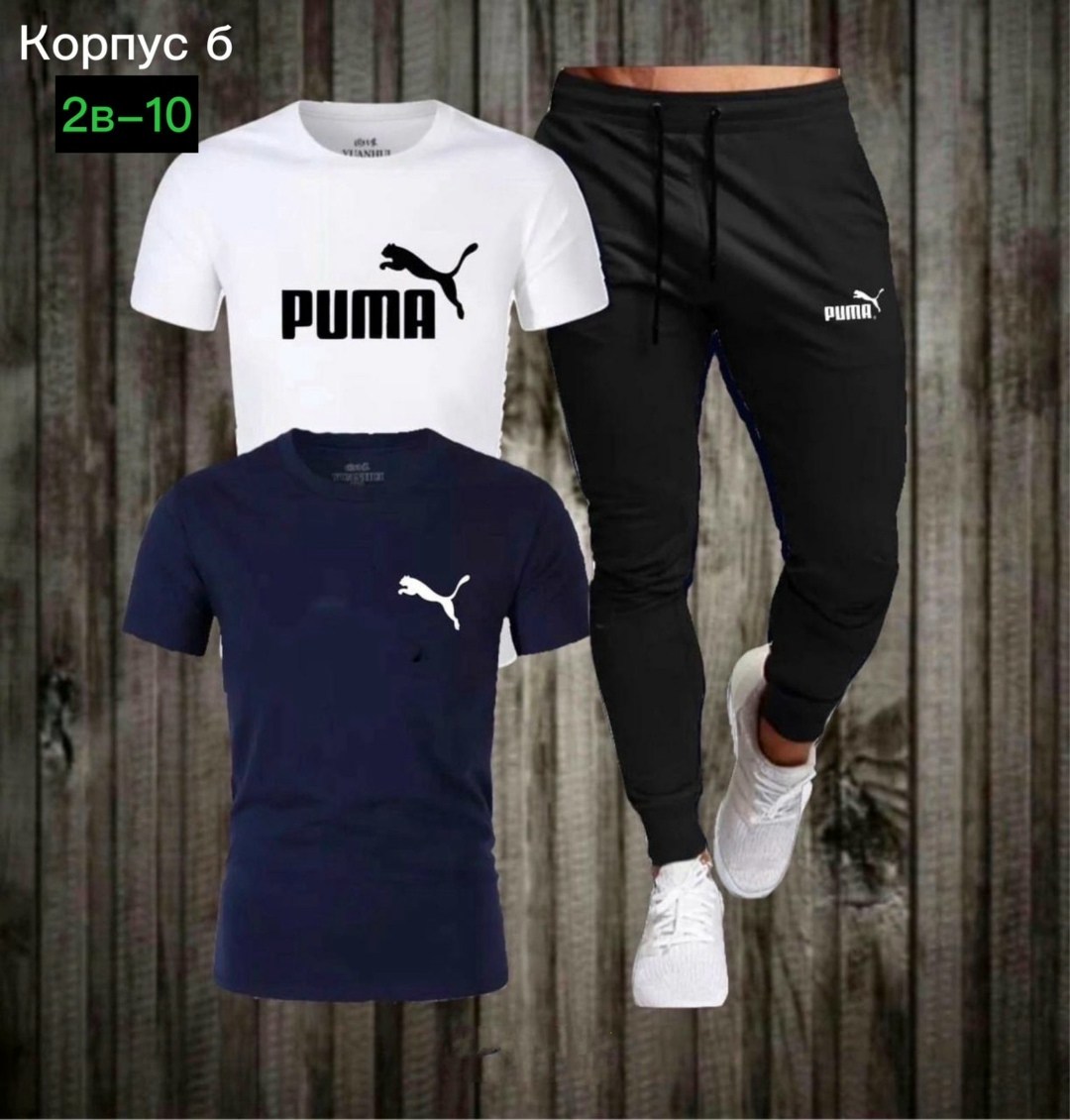 костюм спортивный мужской,спортивный костюм мужской puma,костюм мужской puma,футболка и штаны,костюм спортивный