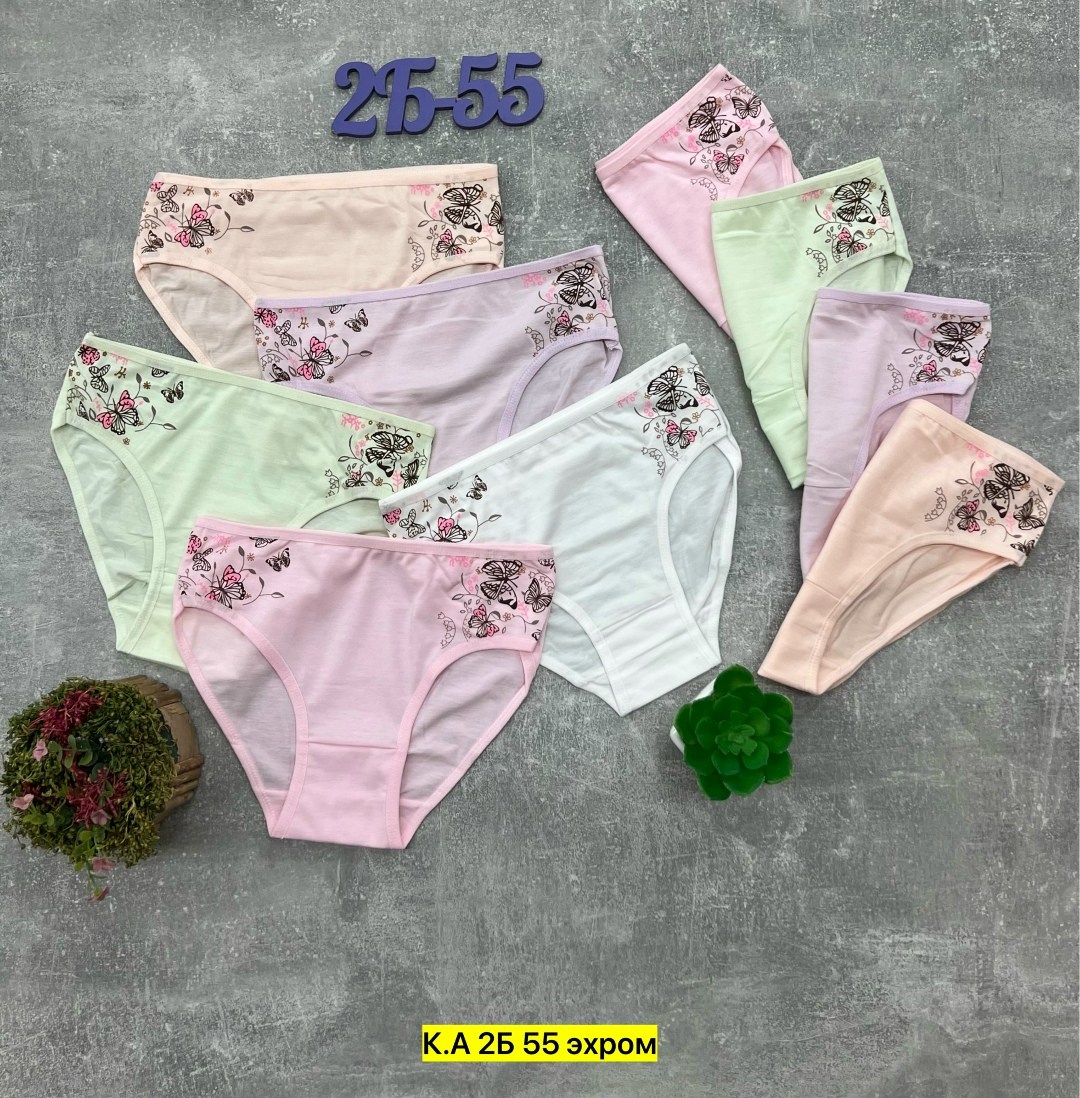 трусы для девочки 5 шт. donella,трусики для девочки donella трусы детские для девочек хлопковые набор,комплект трусов слипы donella для девочек 5 шт,трусы для девочки donella 5шт,трусики для девочки d
