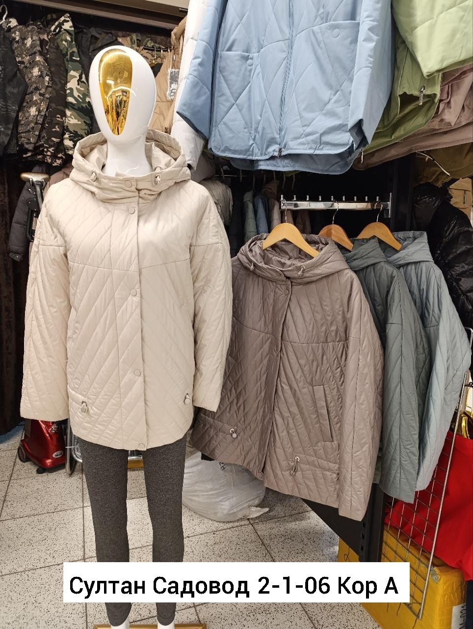 весна в бостоне,магнолии,архитектура дом,куртка женская демисезонная