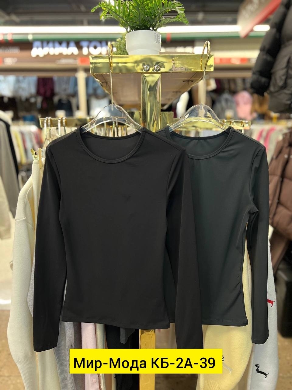 женские джинсы,джинсы стильные,джинсы брюки,модные джинсы,джинсы