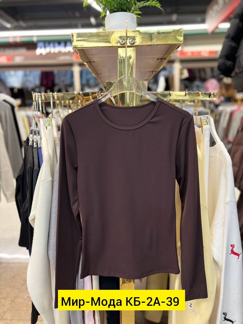 женские джинсы,джинсы стильные,джинсы брюки,модные джинсы,джинсы