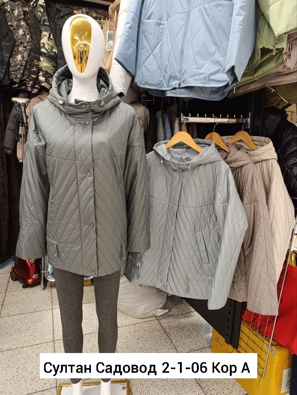 весна в бостоне,магнолии,архитектура дом,куртка женская демисезонная