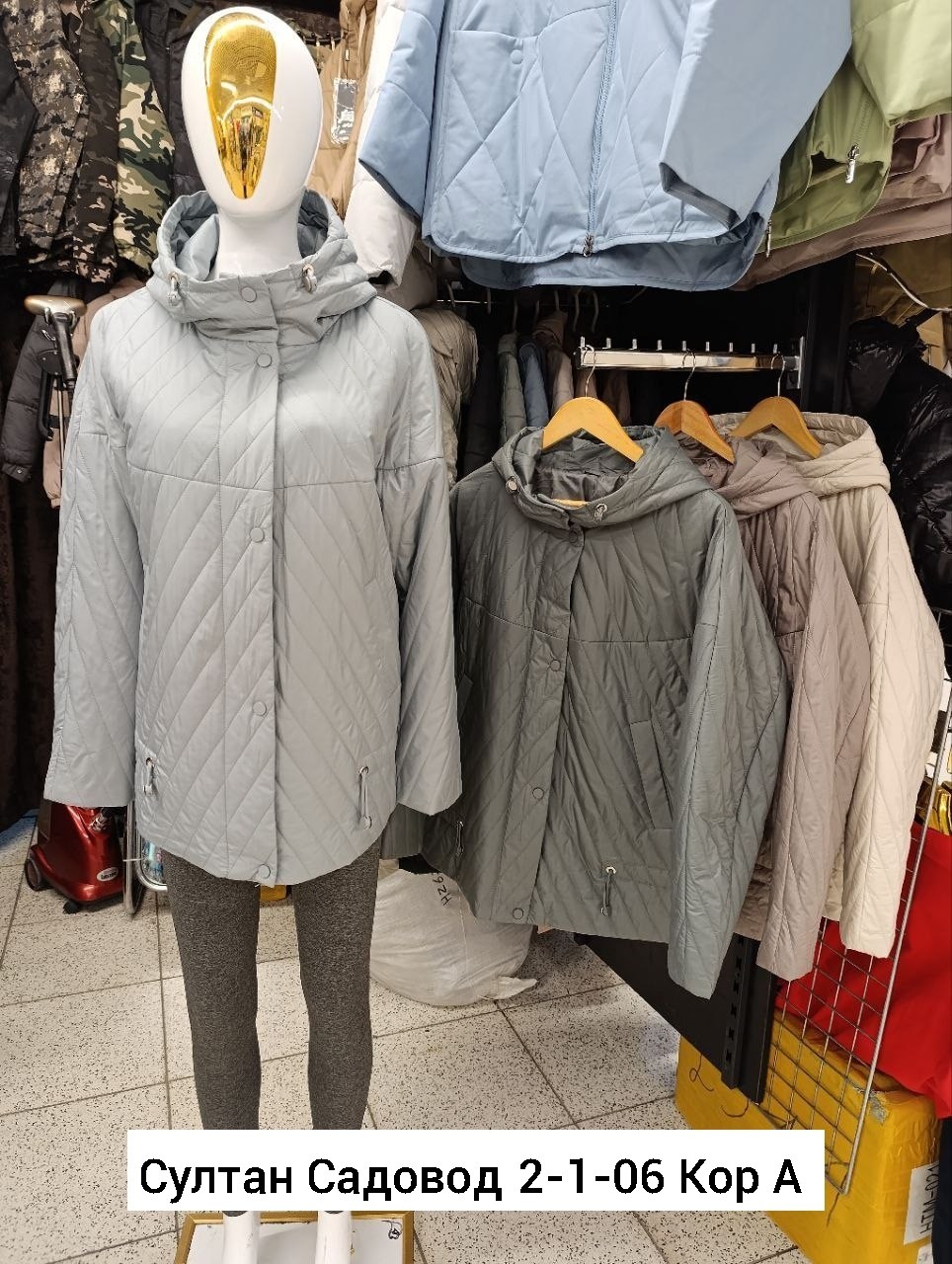 весна в бостоне,магнолии,архитектура дом,куртка женская демисезонная