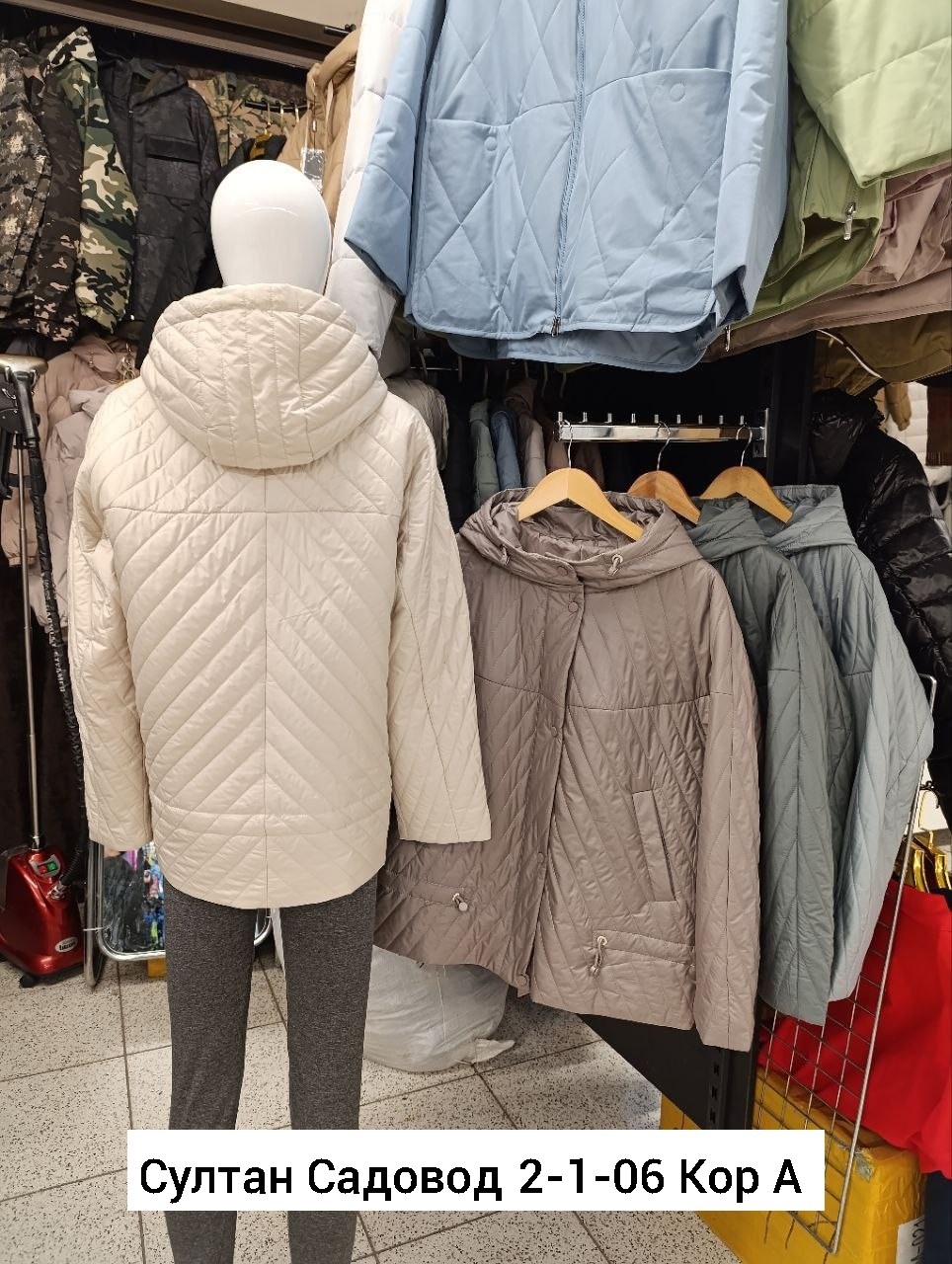 весна в бостоне,магнолии,архитектура дом,куртка женская демисезонная