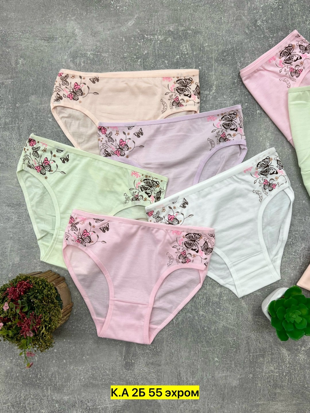 трусы для девочки 5 шт. donella,трусики для девочки donella трусы детские для девочек хлопковые набор,комплект трусов слипы donella для девочек 5 шт,трусы для девочки donella 5шт,трусики для девочки d