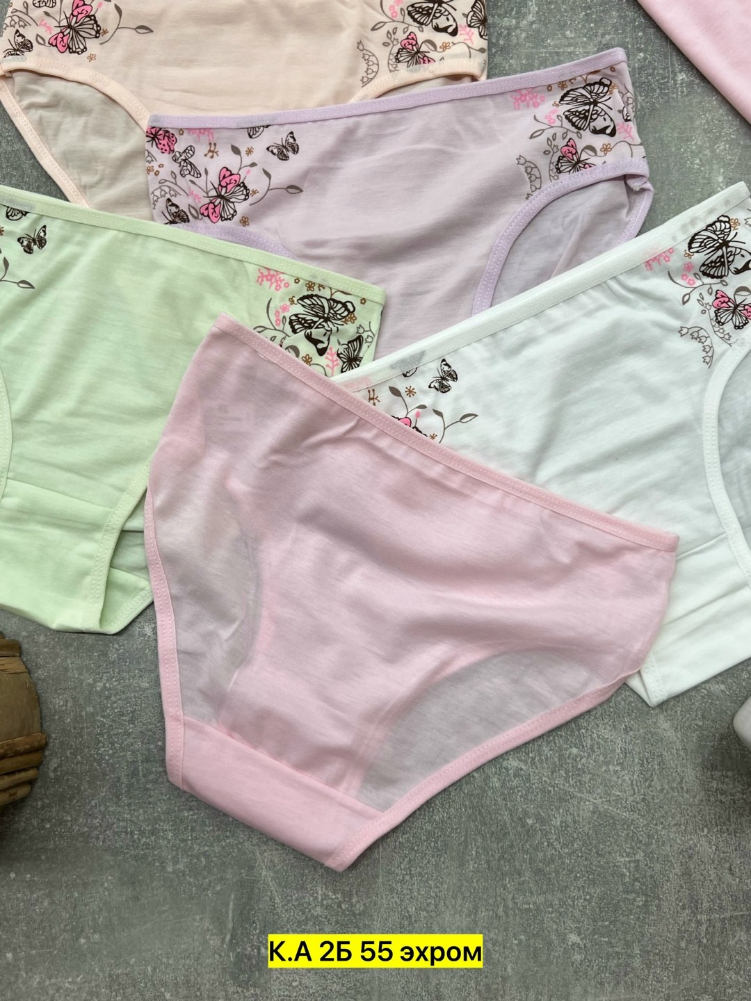трусы для девочки 5 шт. donella,трусики для девочки donella трусы детские для девочек хлопковые набор,комплект трусов слипы donella для девочек 5 шт,трусы для девочки donella 5шт,трусики для девочки d