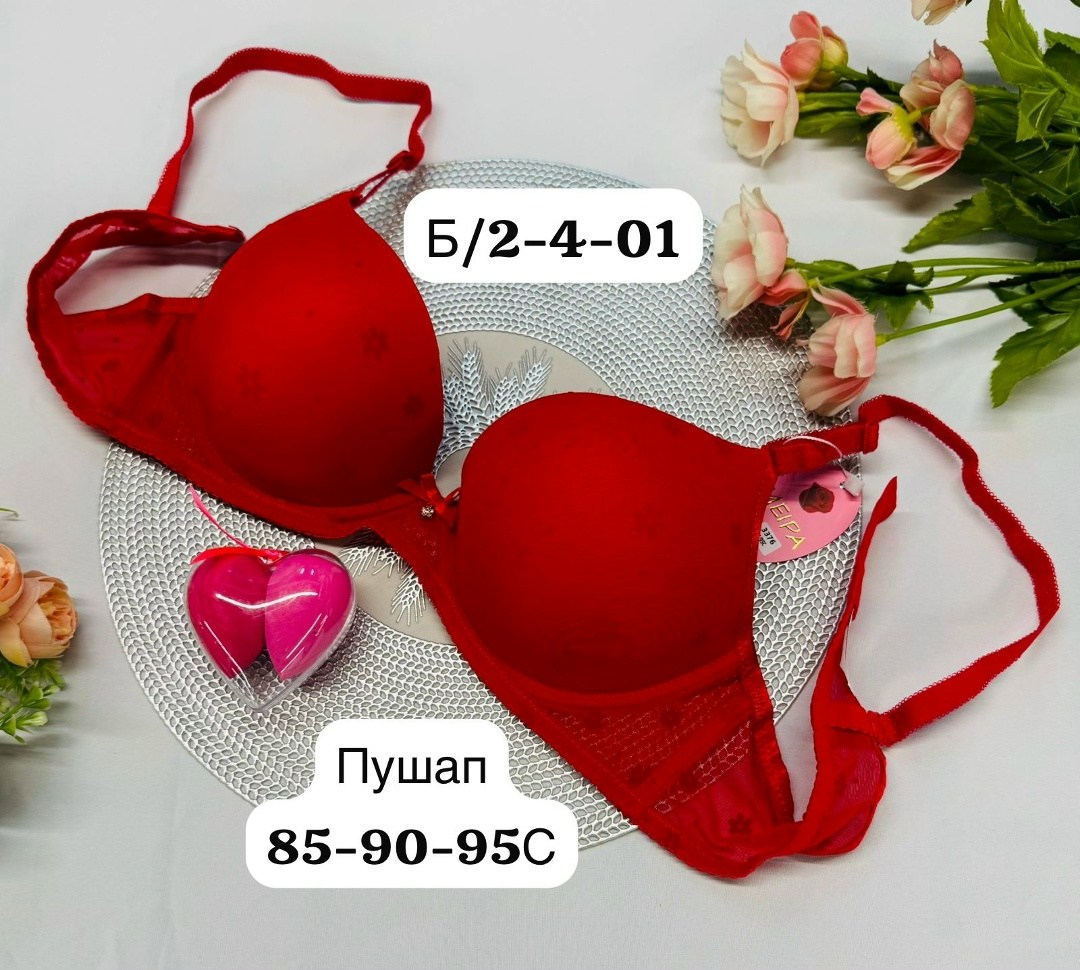 бюстгальтер комплект,комплект нижнего белья,нижнее белье бюстгальтер,белье женское нижнее,бюстгальтер женское нижнее белье