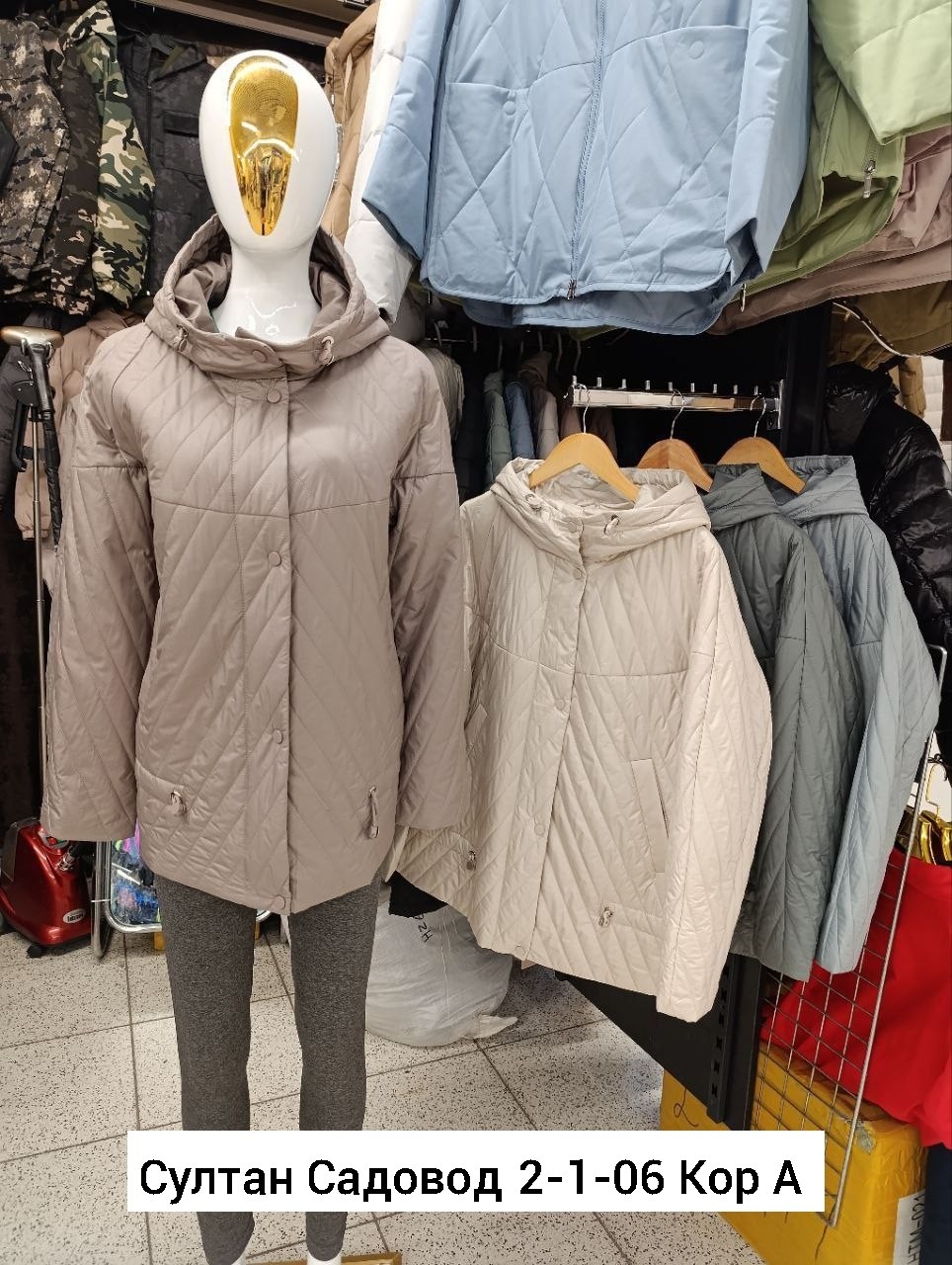 весна в бостоне,магнолии,архитектура дом,куртка женская демисезонная