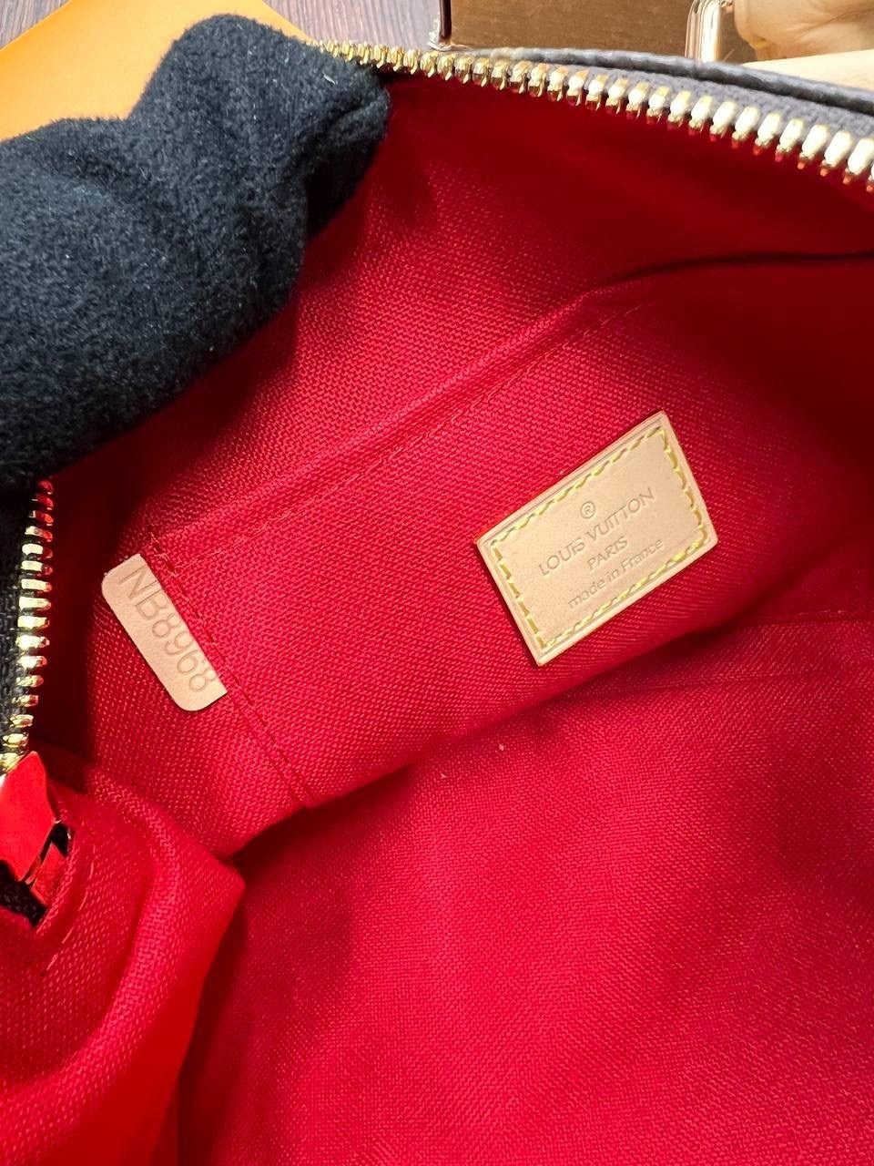 louis vuitton сумка на плечо,сумка louis vuitton,сумка женская louis vuitton,louis vuitton speedy,louis vuitton сумка классические женские