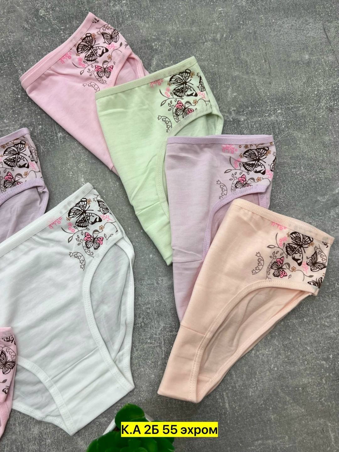 трусы для девочки 5 шт. donella,трусики для девочки donella трусы детские для девочек хлопковые набор,комплект трусов слипы donella для девочек 5 шт,трусы для девочки donella 5шт,трусики для девочки d