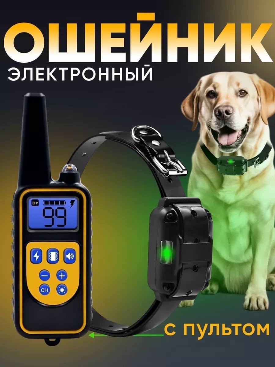 электронный ошейник для дрессировки собак,ошейник электронный для собак,электроошейник для собак,электроошейник для дрессировки собак,электронный ошейник для дрессировки