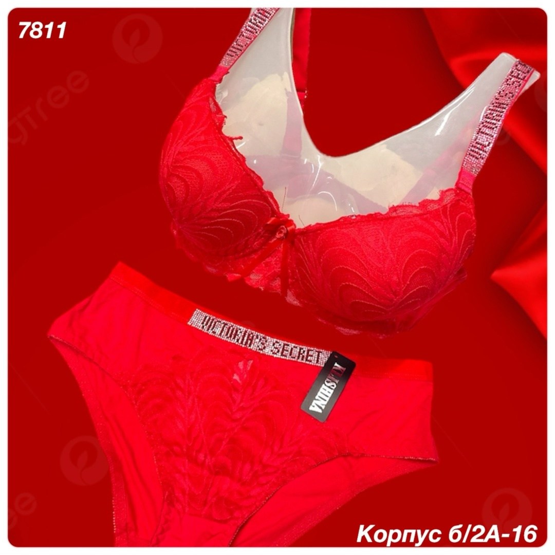 комплект с бюстгальтером,бюстгальтер,женские бюстгальтеры,бюстгальтер большие,бюстгальтер размер