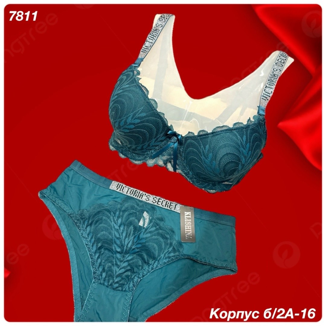 комплект с бюстгальтером,бюстгальтер,женские бюстгальтеры,бюстгальтер большие,бюстгальтер размер