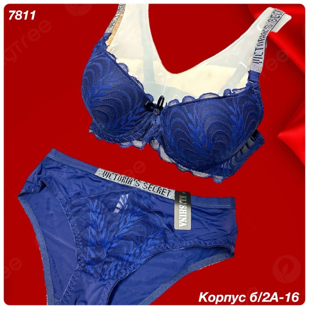 комплект с бюстгальтером,бюстгальтер,женские бюстгальтеры,бюстгальтер большие,бюстгальтер размер
