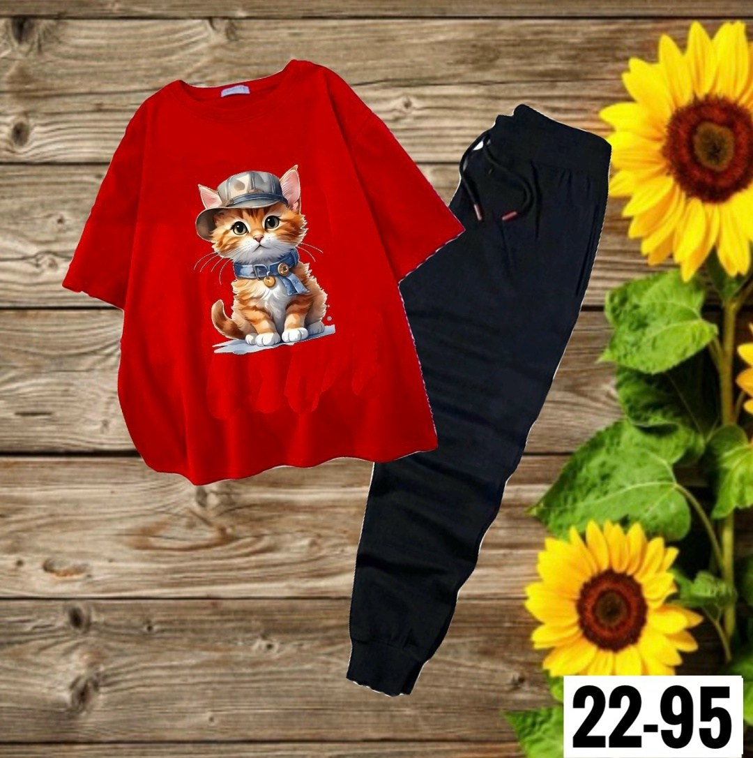 женские костюмы,костюм,костюм двойка женская,спортивные костюмы женские,футболка с рисунком