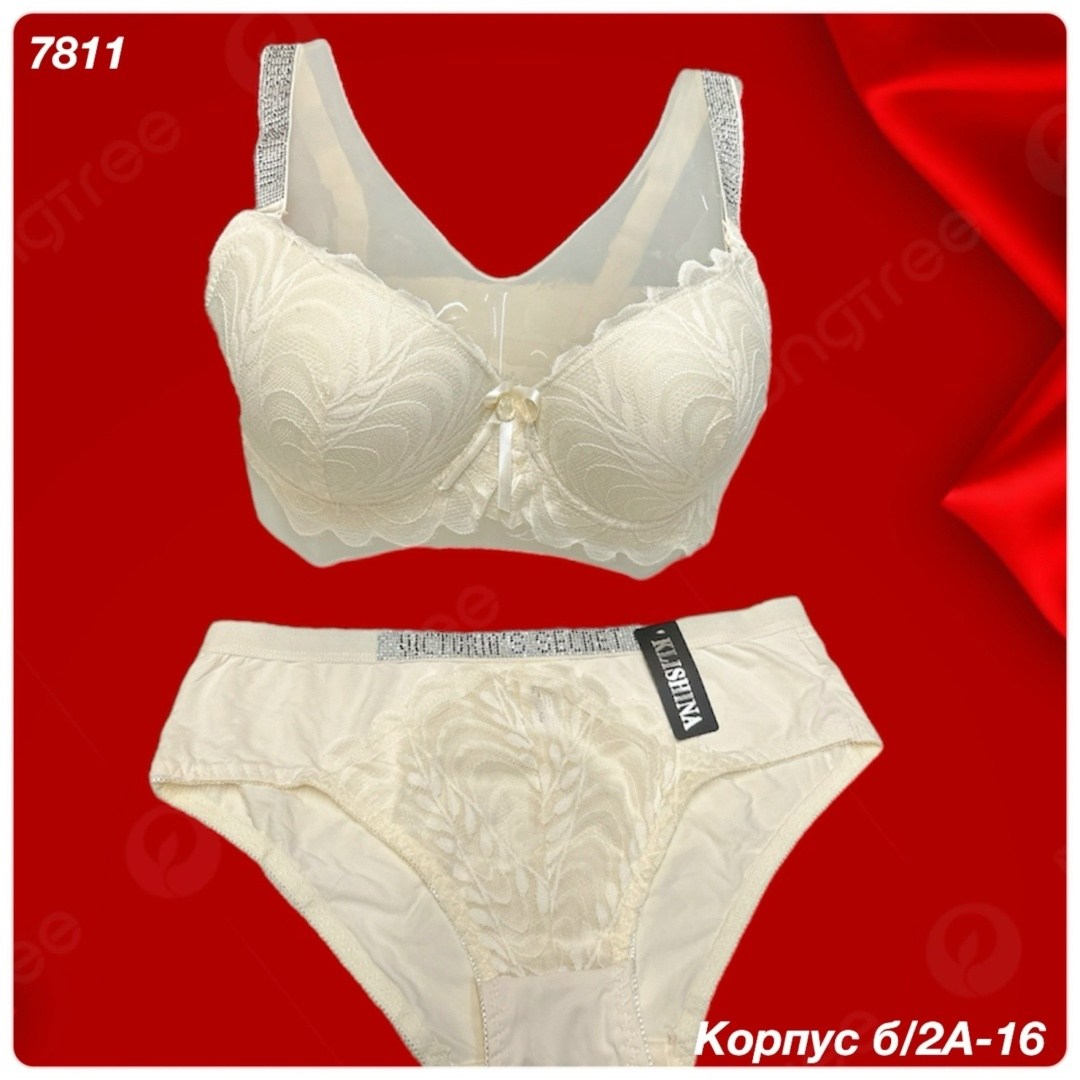 комплект с бюстгальтером,бюстгальтер,женские бюстгальтеры,бюстгальтер большие,бюстгальтер размер