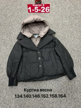 Верхняя одежда