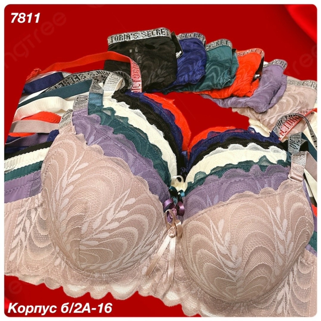 комплект с бюстгальтером,бюстгальтер,женские бюстгальтеры,бюстгальтер большие,бюстгальтер размер