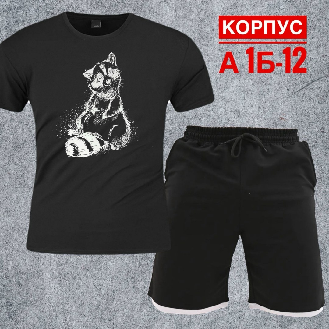 мужские костюмы спортивные,мужской спортивный костюм с шортами и футболкой,костюм для мужчин,костюм с шортам,футболки комплект