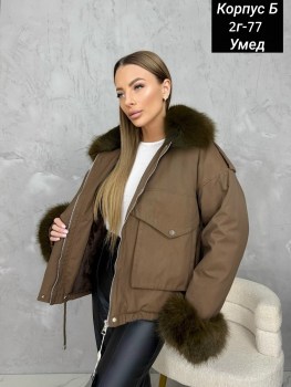 Верхняя одежда