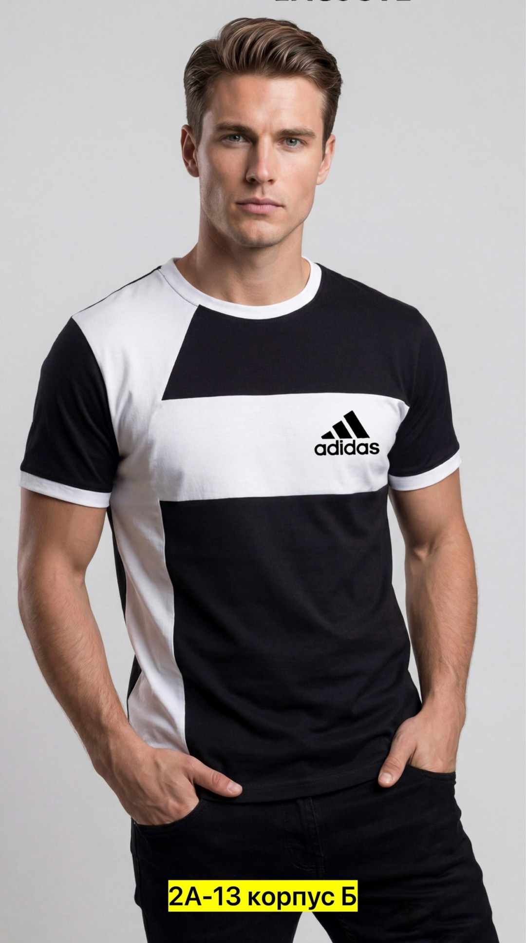 мужские футболки the north face,футболка the north face the north face,футболки the north face,футболка мужская the north face easy,мужская футболка the north face raglan easy