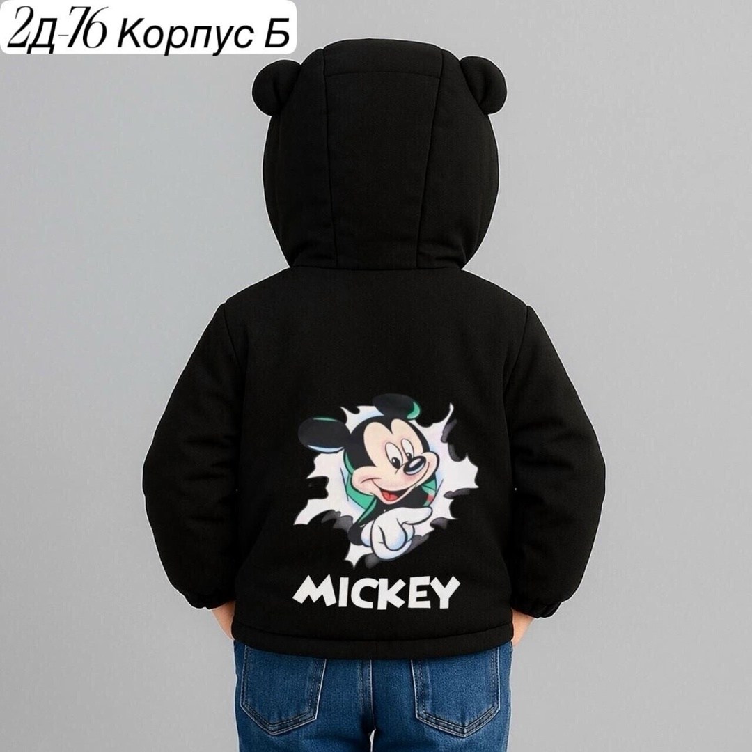 куртка для мальчика,куртка для мальчика демисезонная,куртка демисезонная,ветровка куртка для мальчика,куртка парка для мальчика