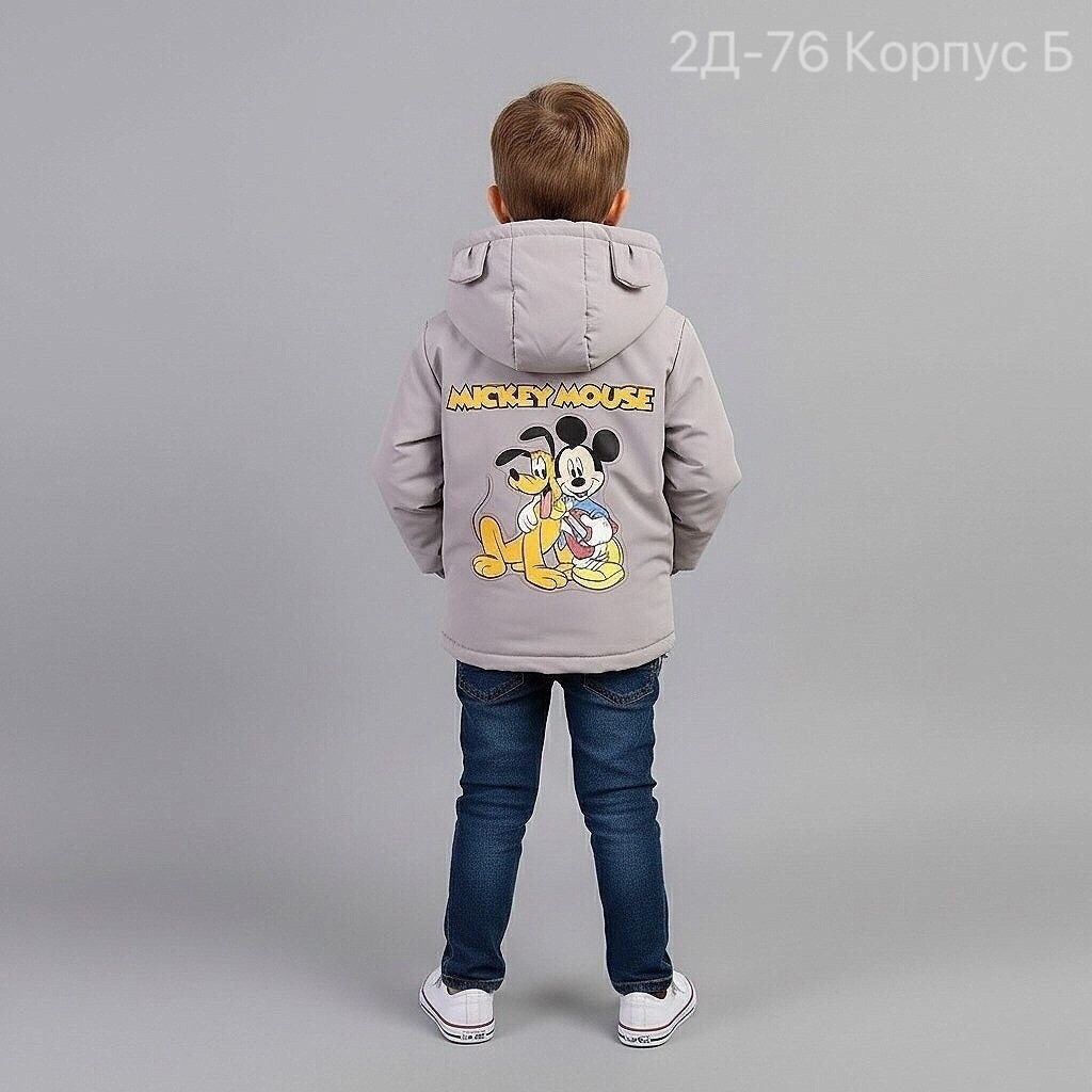 куртка для мальчика,куртка для мальчика демисезонная,куртка демисезонная,ветровка куртка для мальчика,куртка парка для мальчика