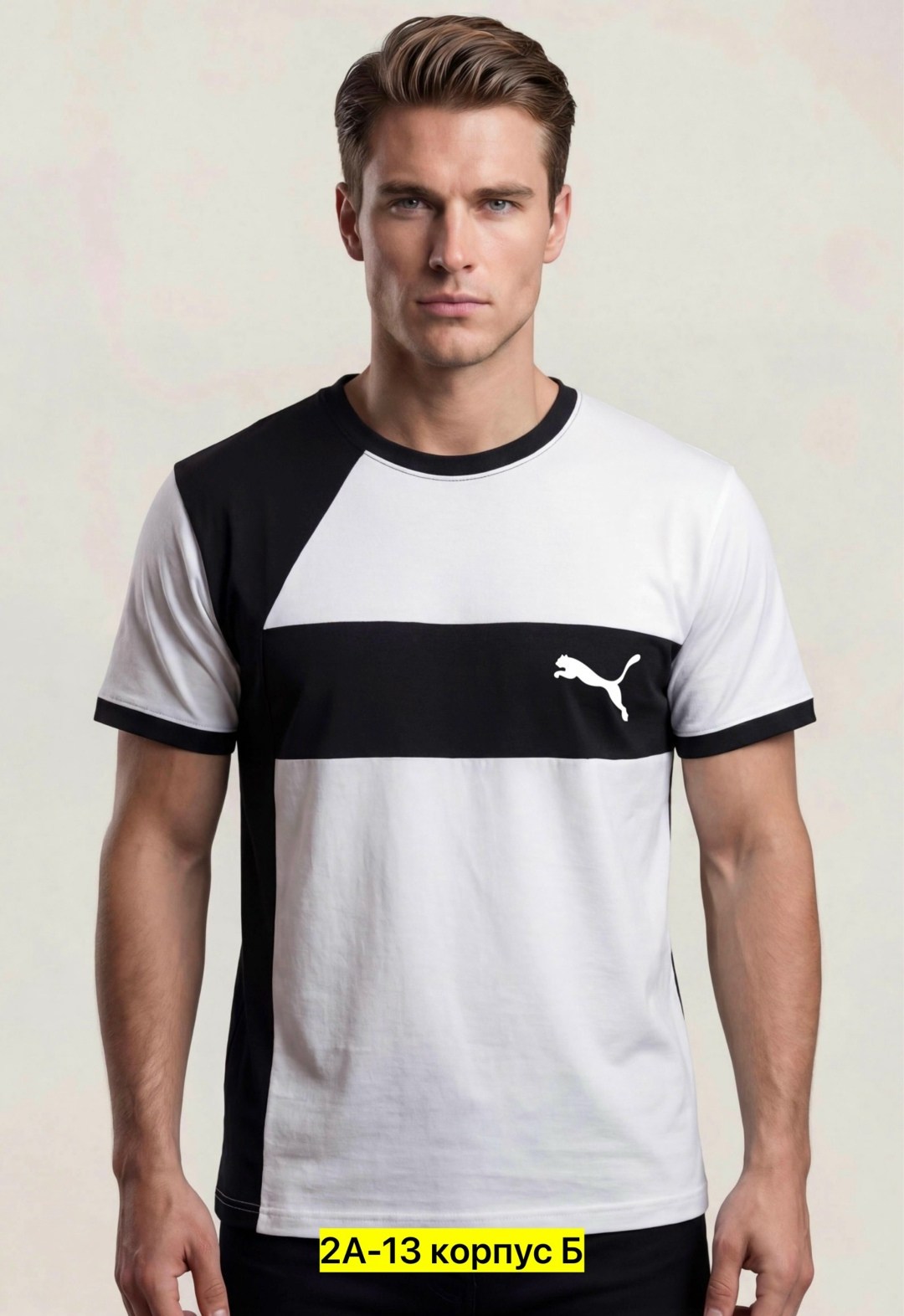 футболка мужская puma,футболки пума,футболка puma,мужская футболка,футболка пума мужская