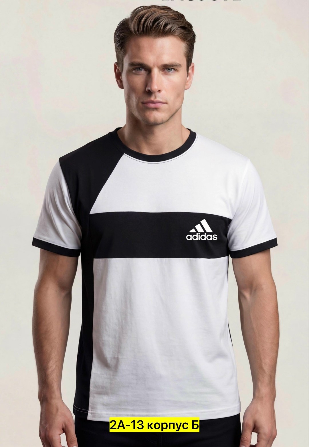 мужские футболки the north face,футболка the north face the north face,футболки the north face,футболка мужская the north face easy,мужская футболка the north face raglan easy