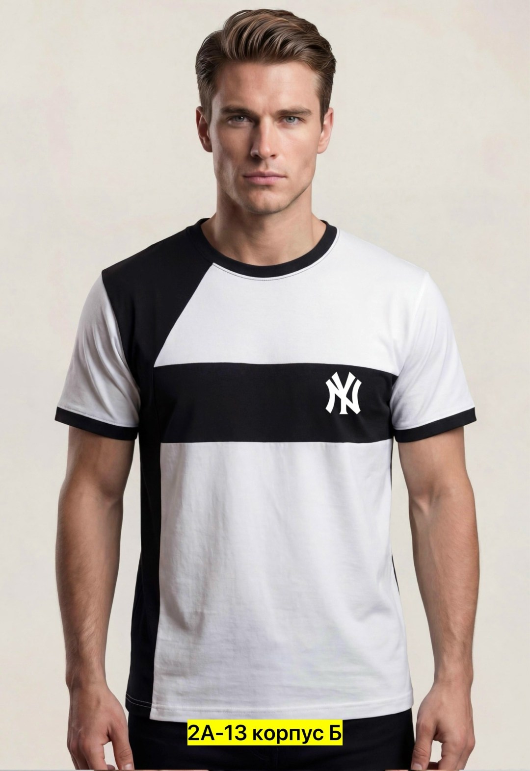 мужские футболки the north face,футболка the north face the north face,футболки the north face,футболка мужская the north face easy,мужская футболка the north face raglan easy