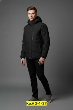 куртка демисезонная,куртка мужскaя демисезонная,мужская зимняя куртка,куртка зимняя,куртка