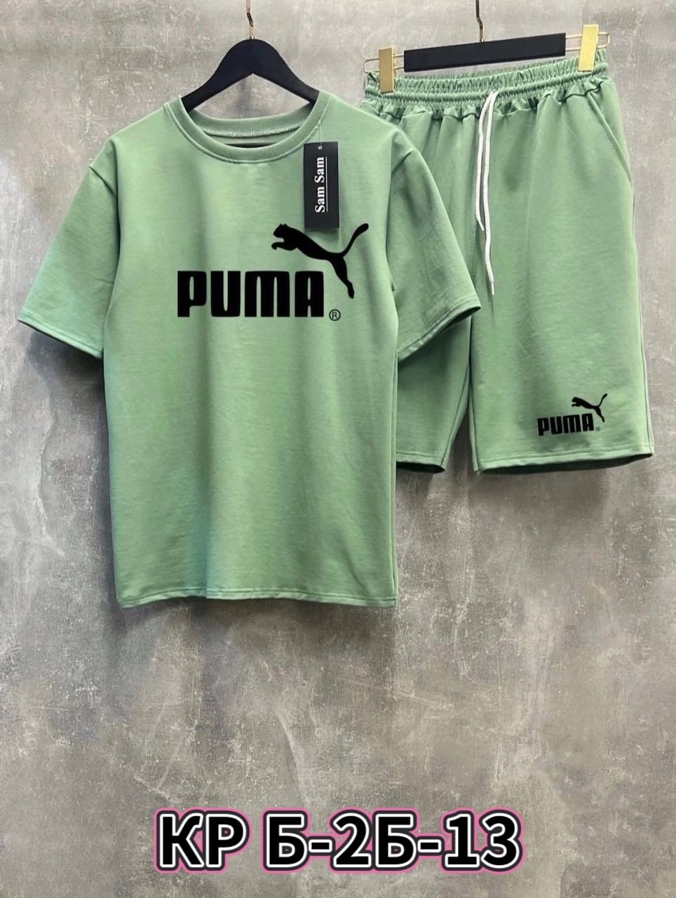 костюм спортивный летний с футболкой и шортами,костюм мужской puma,мужской спортивный костюм с шортами,мужской костюм с шортами,костюм мужской футболка и шорты